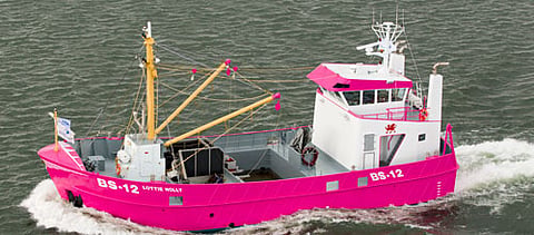 2209damen2f