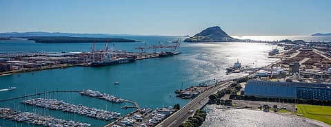 Container volumes grow at New Zealand’s Port of Tauranga