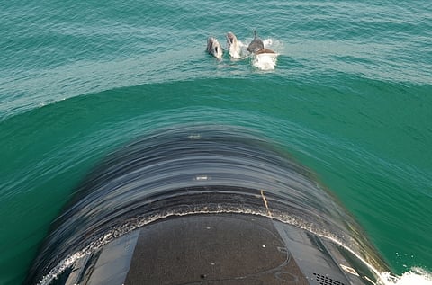 215b0c0ff1b5b021419054da81670a19