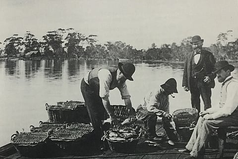 33fa8949a4ef55935ae1d3393c019ed1