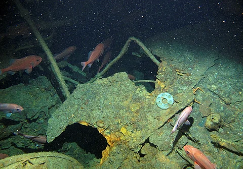 A Fugro image of the AE1 wreck near the Duke of York Islands. 3e5a35c93ee5c21ebfab34a0bc1ddced