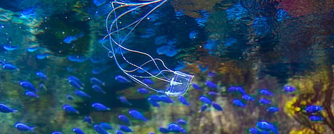 6e4a2dcf02a1ca77fb3773e2f6b638d0