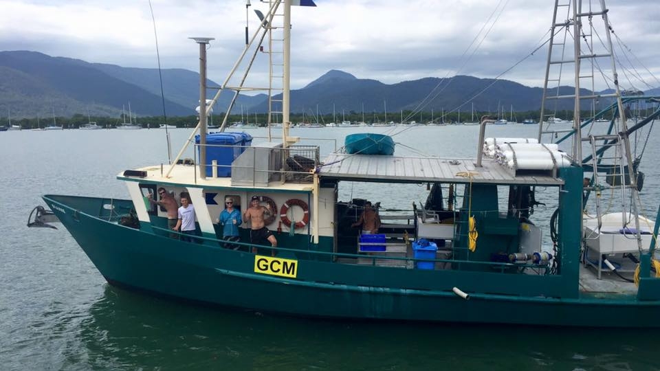 Dianne 6fb6361f3090ca652e78e6d49f30c5f9