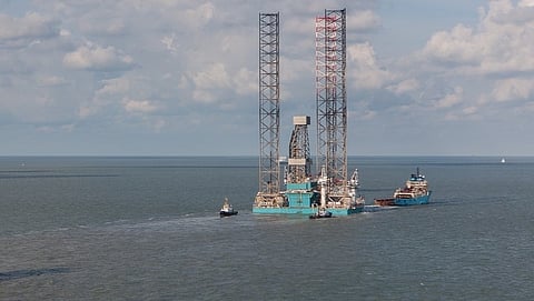 Rowan Viking Damen file photo