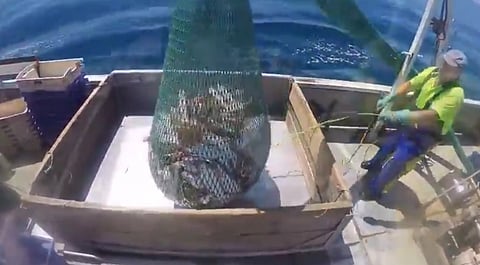 828fdacd49aeb865c4be13426ecef1b3