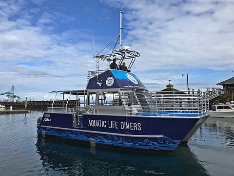 8ee32f4a7dc339e385d15d54d4e3744e