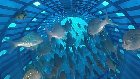 a3654d13a983b37b65531836b09ffca0