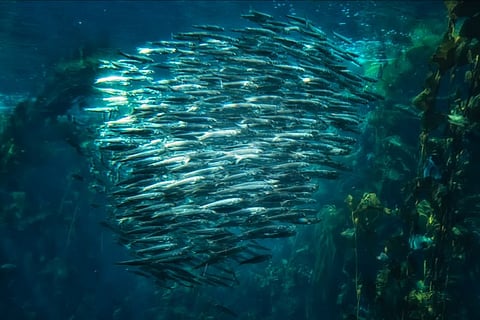 b2606b368457d75a985f51e6f1bfd35a