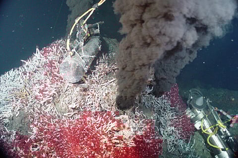 A future source of marine fuels cf4d07138ccd7b2e00d844e525c2ae86