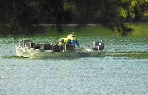 NSW eel fisher fined for failure to declare catch