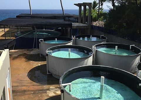 dd45d054dfce696b68bc0b43a11d1bfe