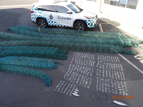 fe0cae0d4b80af7d2a1ba16837a1efc1