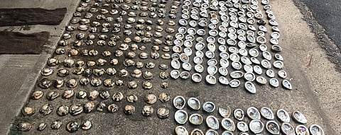 fe9f389134b872478c99a836d55de88e