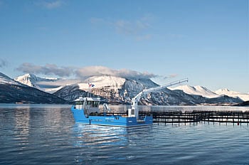 std_uv_2410_artist-impression