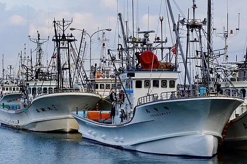 Welcome to Fishing and Aquaculture Week!