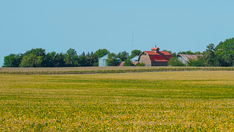 Ag stock image BankNews.com