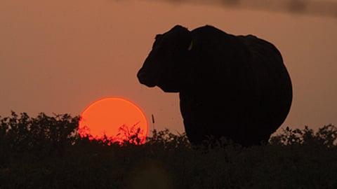 BankNews.com stock image