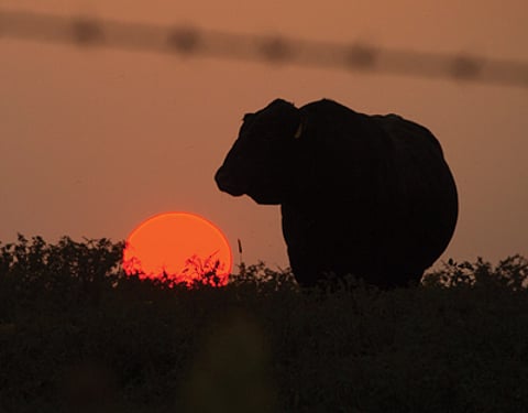 (BankBeat stock image)