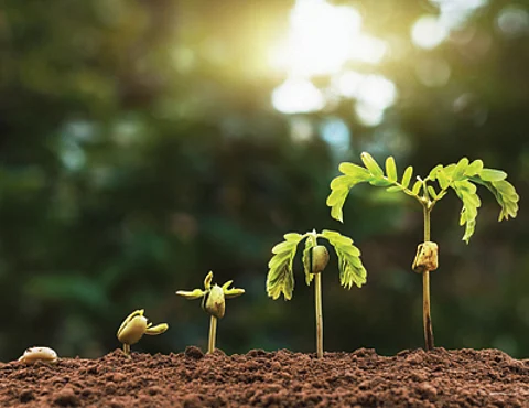 It’s springtime for entrepreneurs; time to cultivate business