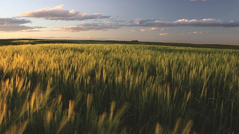 BankNews.com stock image field