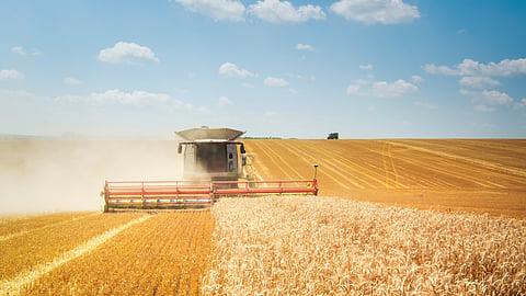 Farm stock image BankNews.com