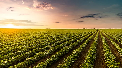 Rural economy positive, still faces uncertainty