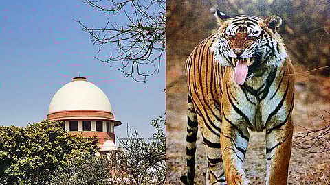 Supreme Court issues notice in plea seeking to declare entire animal kingdom as a legal entity, CJI observes prayer 'difficult to grant'