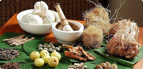 Madras High Court asks why Siddha Medicine has been sidelined in exploring ways to tackle COVID-19