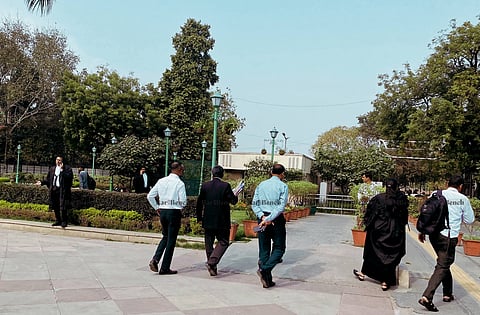 A Lawyer as an Apologist v. A Lawyer as a Dreamer