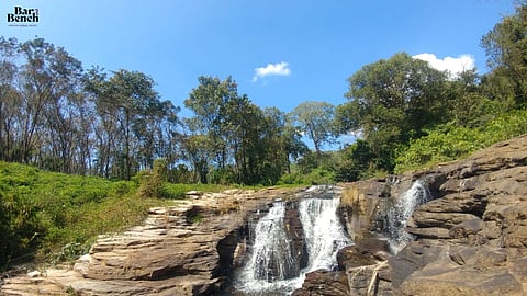 environment