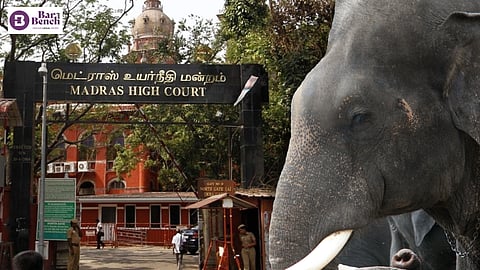 Madras High Court and Elephant