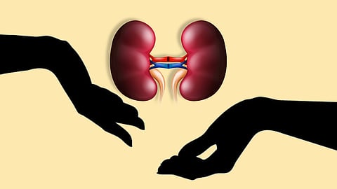 transplantation of human organs