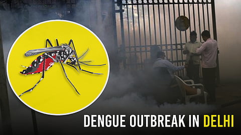 dengue outbreak in delhi