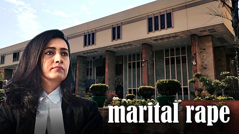 Karuna Nundy, Delhi High Court