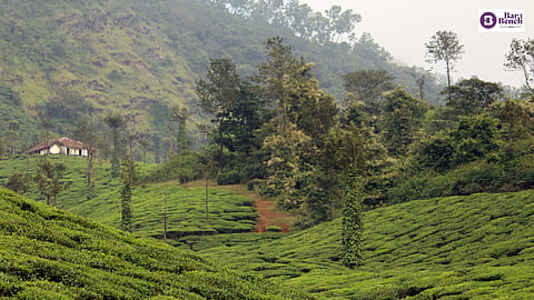 Nilgiri range, Tamil Nadu