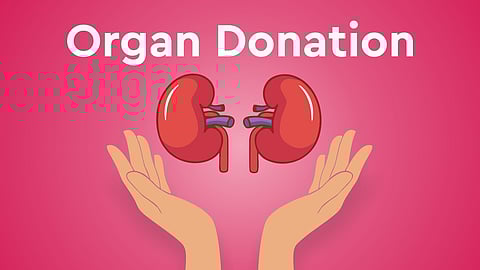 organ donation