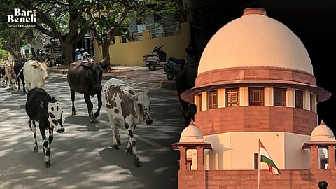 Cows and Supreme Court