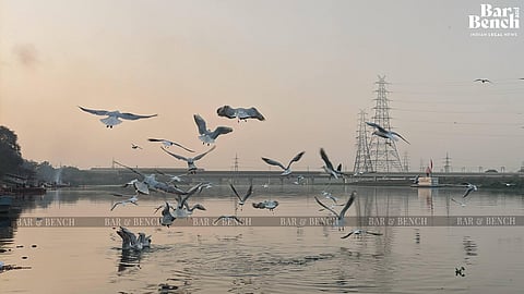 Yamuna river