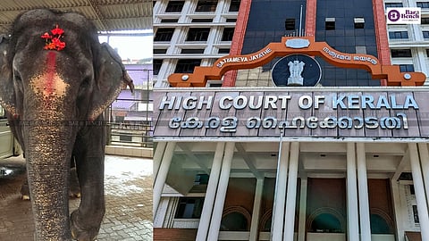 Elephant, Kerala High Court