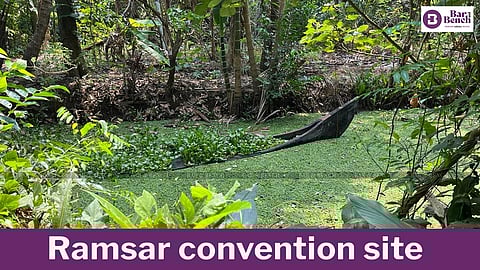 wetland, Ramsar convention site