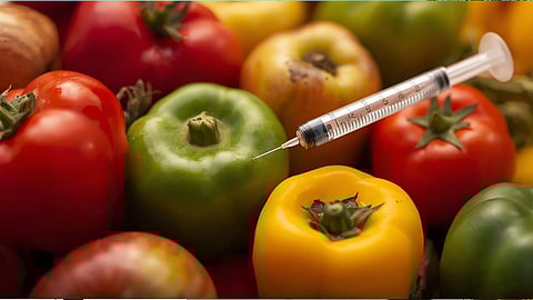 genetically modified food