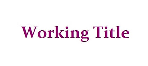 Working Title The Lawyer and the Film Maker