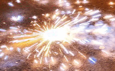 Karnataka High Court, crackers