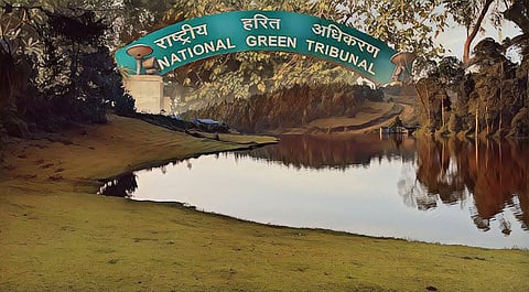World Environment Day: How the National Green Tribunal has attempted to curb environmental degradation in the recent past