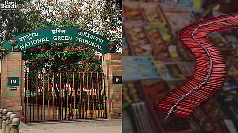National Green Tribunal, use of firecrackers