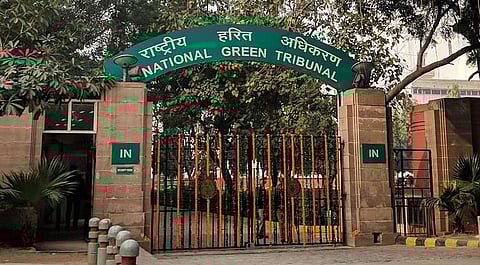 NGT, Delhi