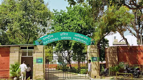 National Green Tribunal (NGT)