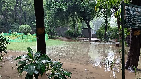 Delhi Rains