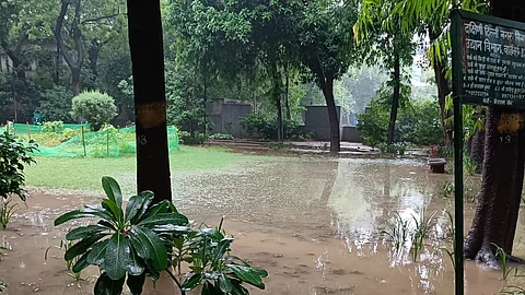 Delhi Rains