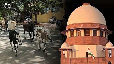 Cows and Supreme Court